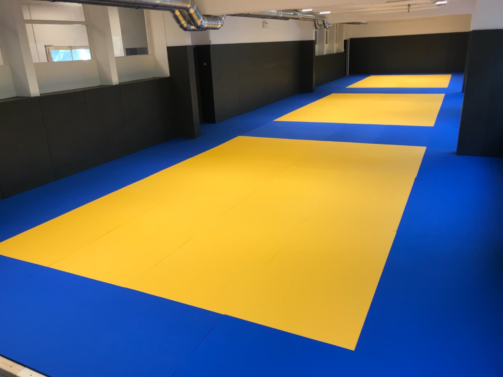 Tatami / dojo — Firminy